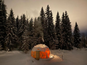 Dome Glamping with shared bathroom